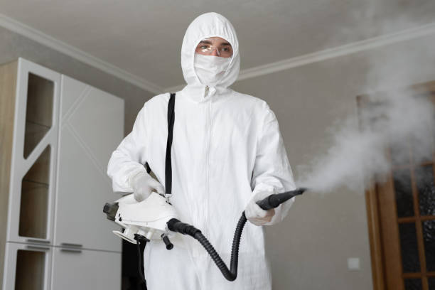 Mold Documentation for Insurance Claims in Harker Heights, TX